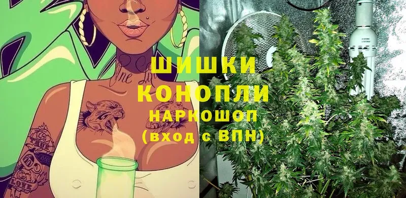 ОМГ ОМГ как войти  Артёмовский  Каннабис White Widow 